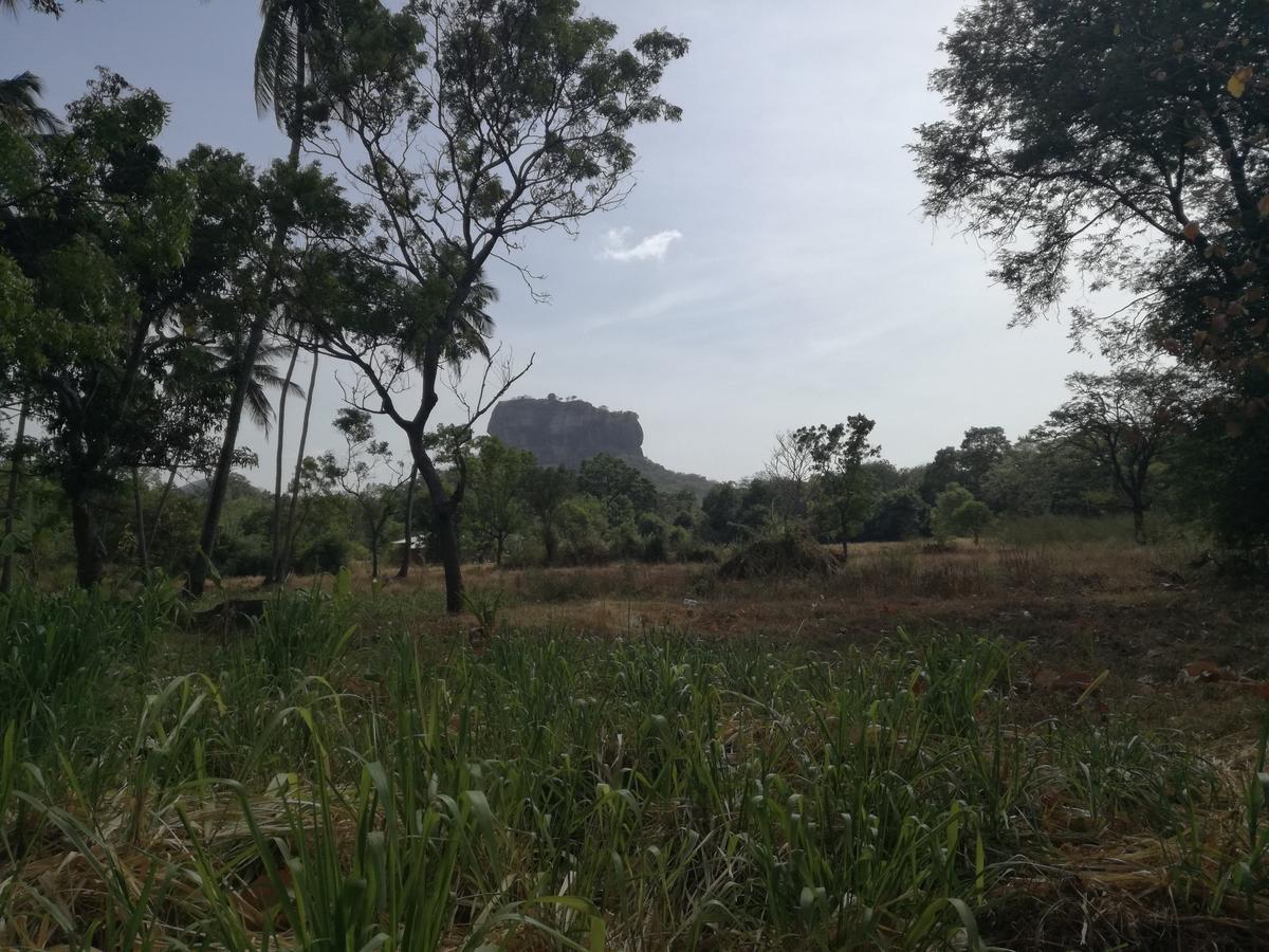 Oshani Homestay Sigiriya Eksteriør billede